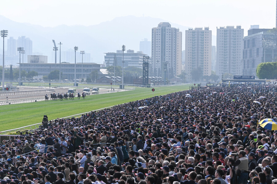 2024年“浪琴香港國際賽事”8日在沙田馬場開賽。主辦方供圖